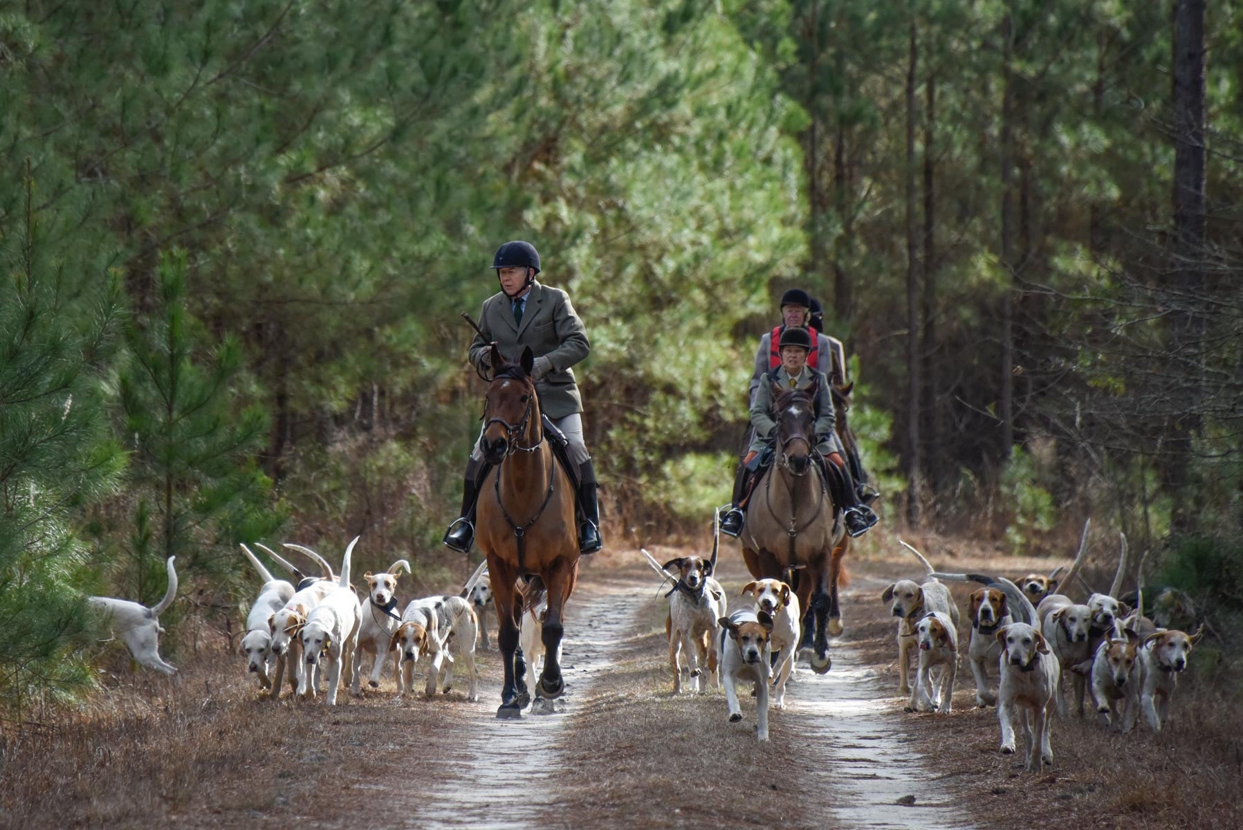Whiskey Road Foxhounds 6