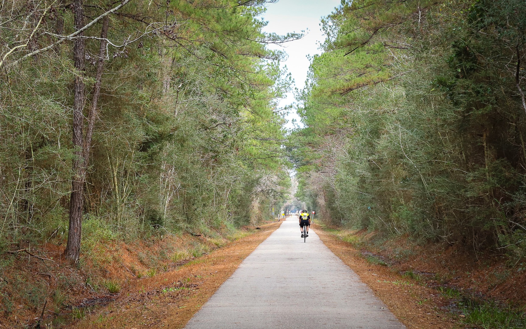 Tammany Trace5