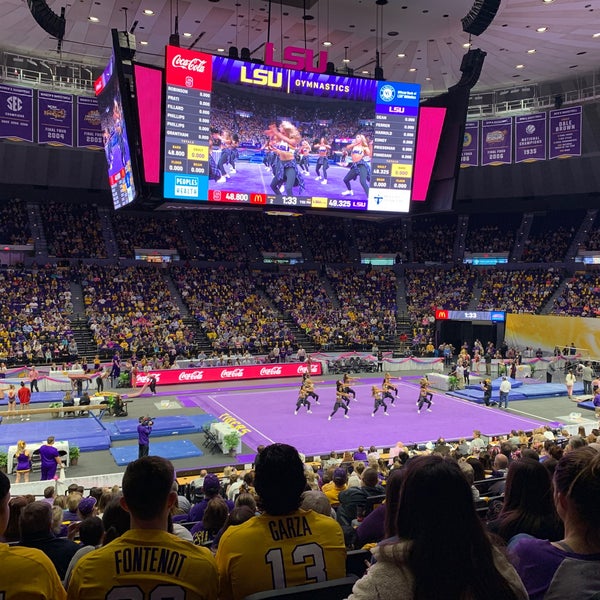 LSU Gymnastics 2 .jpg