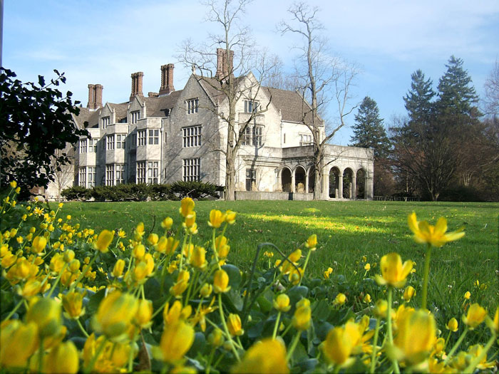 planting fields arborteum state park.jpg