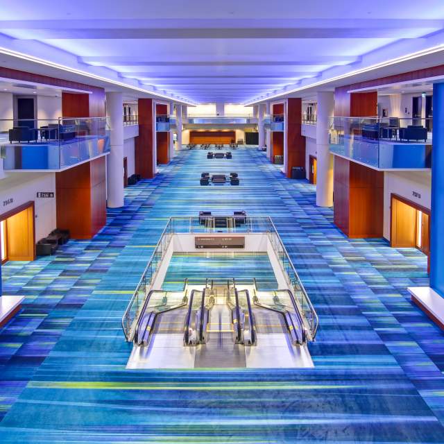 L600_View_of_Great_Hall_IMG_2720_1_2_33989c9b-78b4-4a47-a8f9-f82fe3f05330.jpg