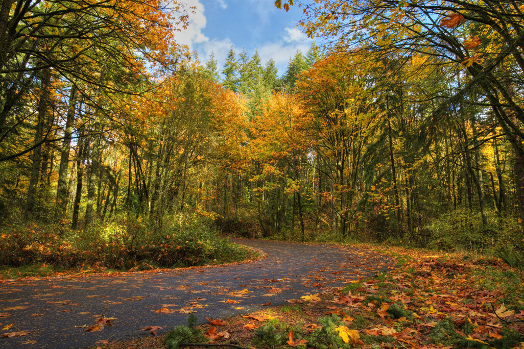 little-mountain-park-autumn-foliage-2.jpg