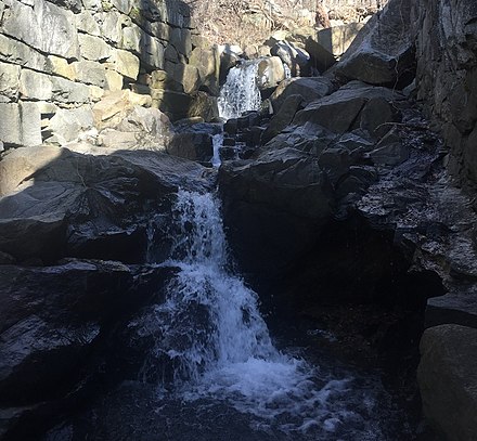 Alacopas Run State Park 3