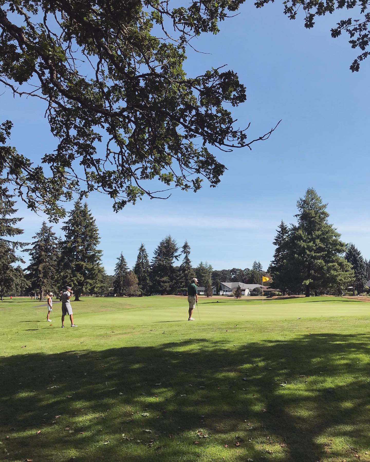 Oakbrook Golf Course 2