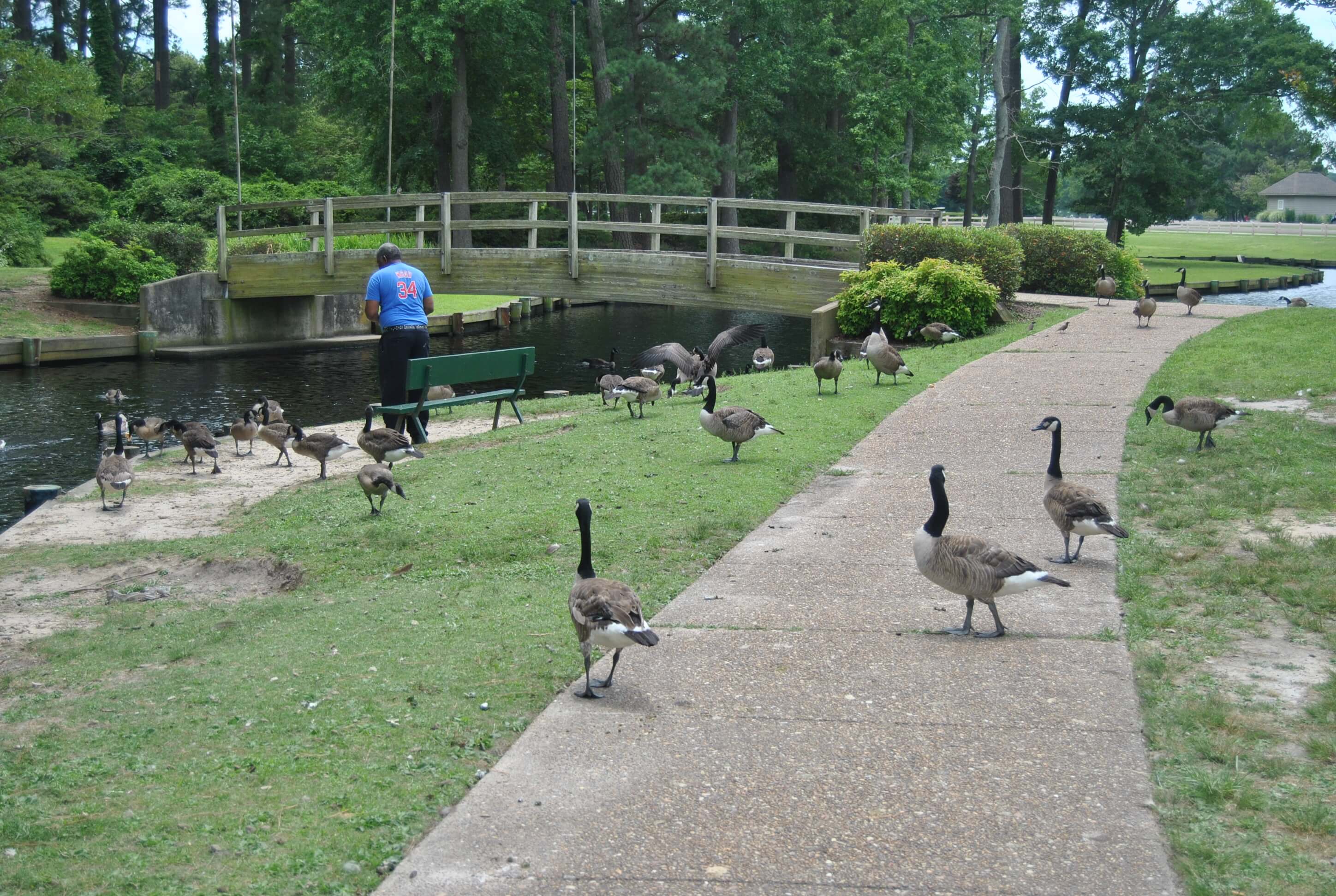 City-Park-Friendship-Gardens-Lake-Portsmouth-Virginia