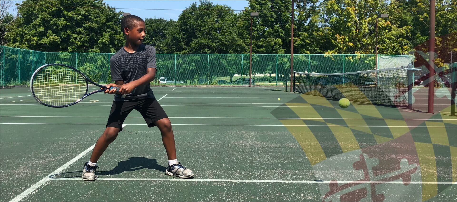 API tennis