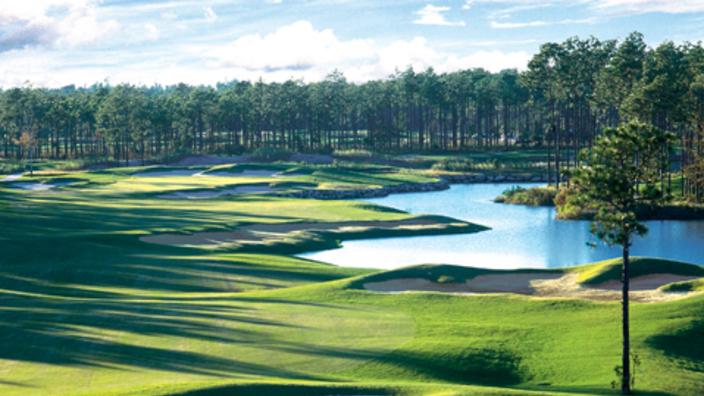 tiger's eye golf links