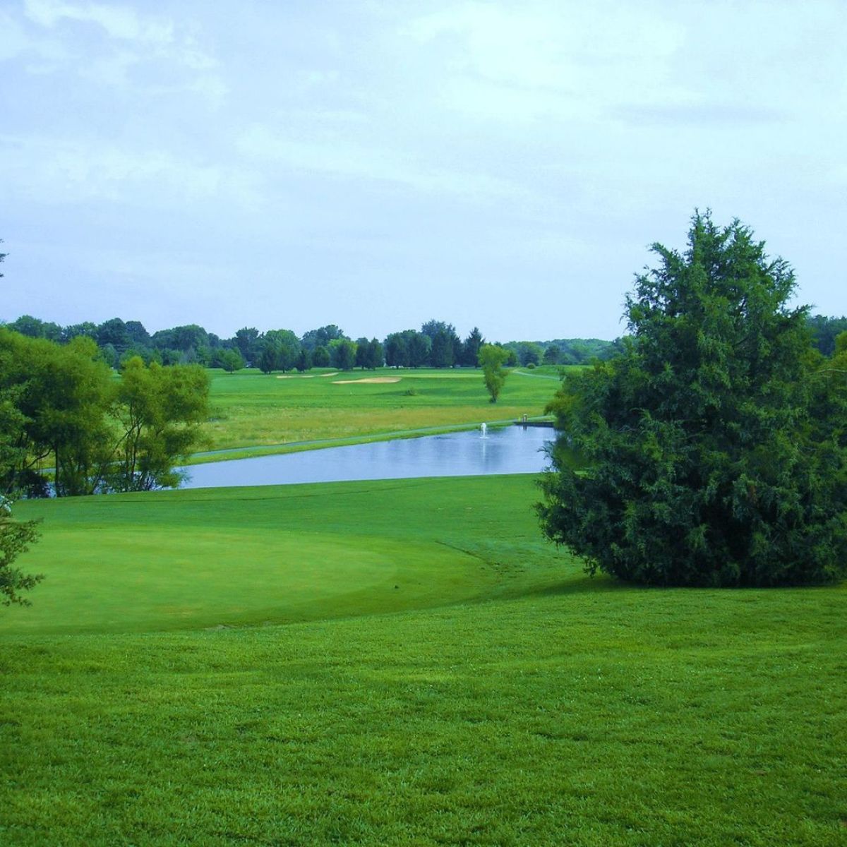 Wetlands Golf Course 5