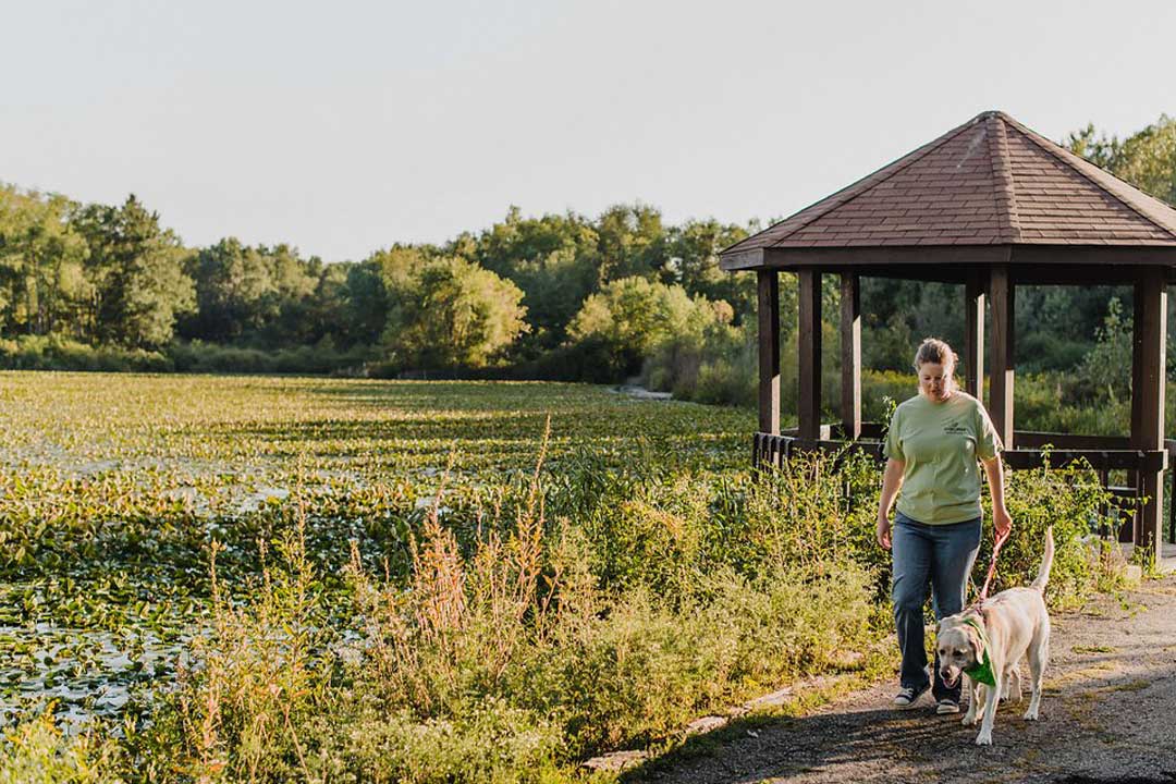 sippo lake park 2