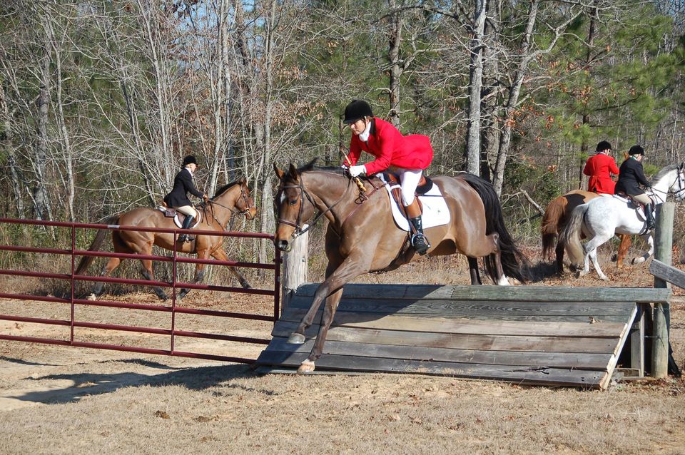 Whiskey Road Foxhounds 2