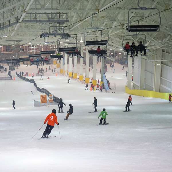Big Snow American Dream 6