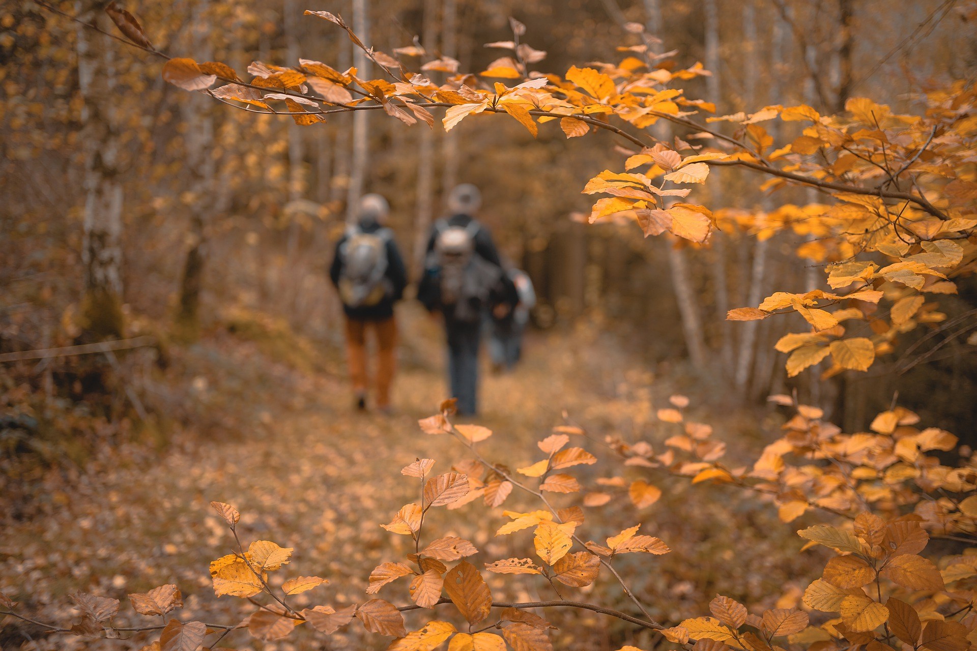 Greilick Outdoor Recreation & Education Center12