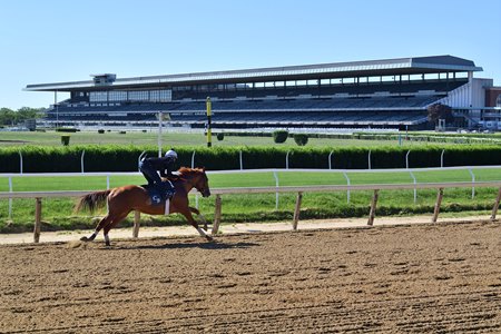 Belmont Park Racetrack 2