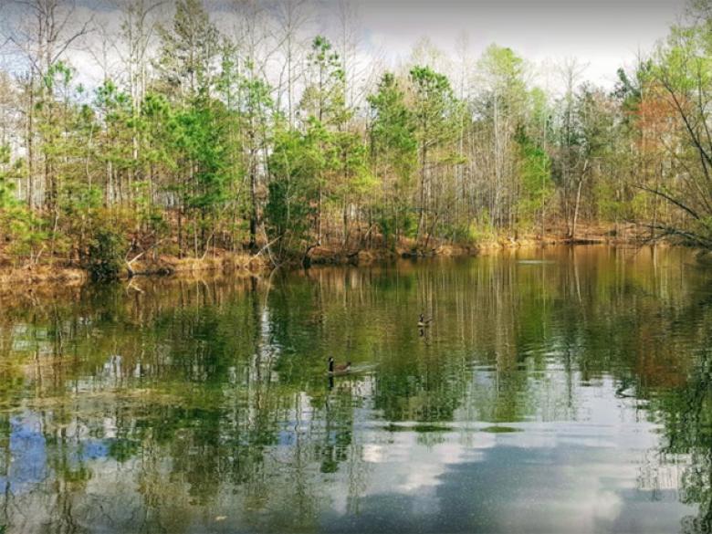Webb Bridge Park & Arboretum 4