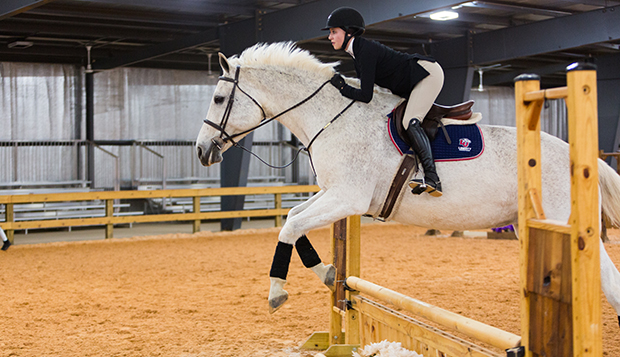 W.E. Johnson Equestrian & Archery Park 1