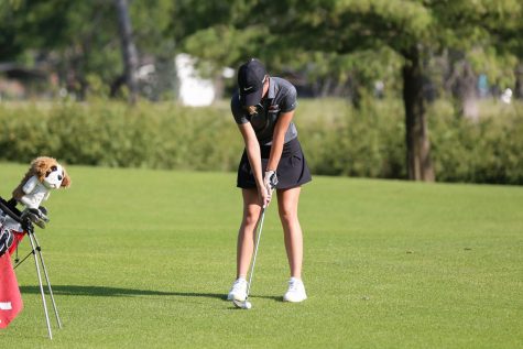 Tex Consolver Golf Course 6
