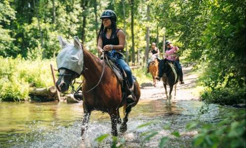 Michigan Horse Trails 3