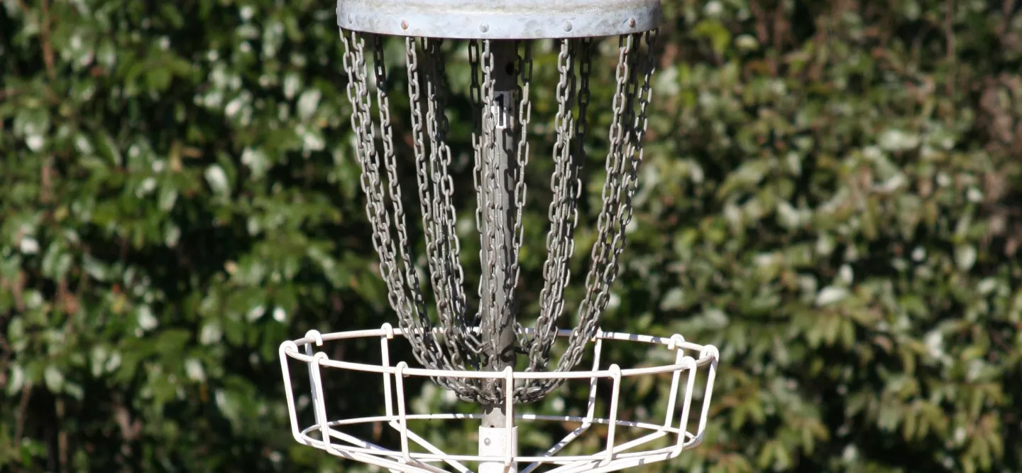 Earlewood Park Disc Golf.jpeg