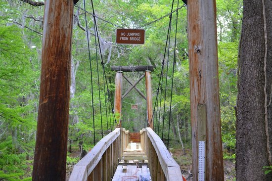 O'Leno State Park 4