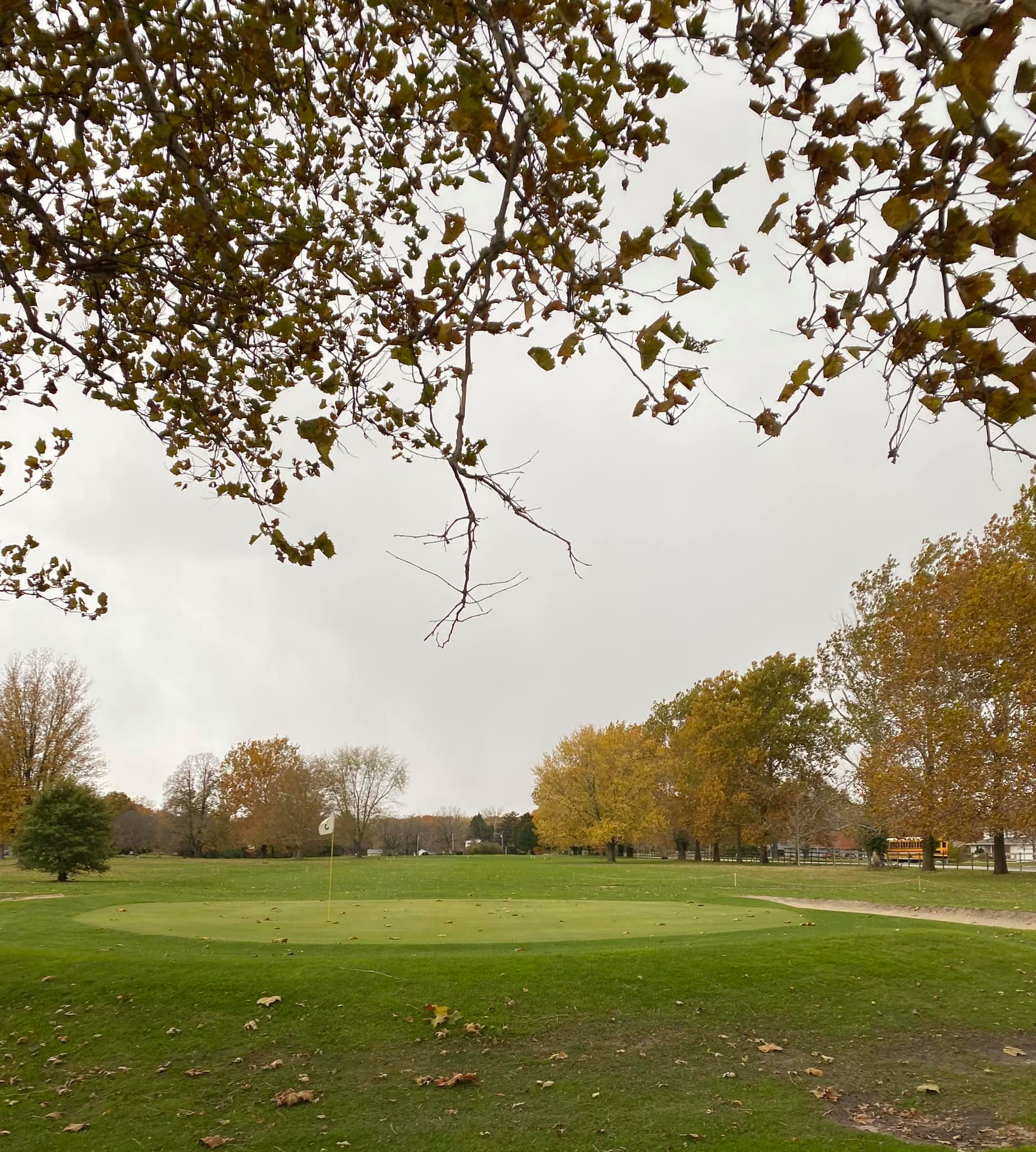 The Oaks Golf Course5