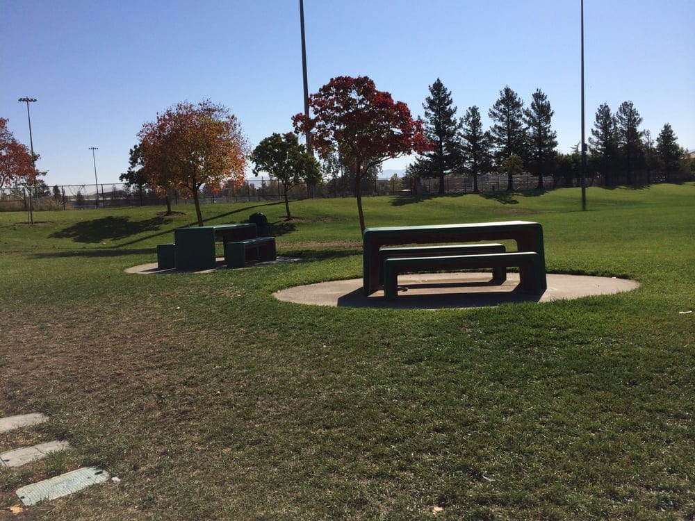 Robertson Park5