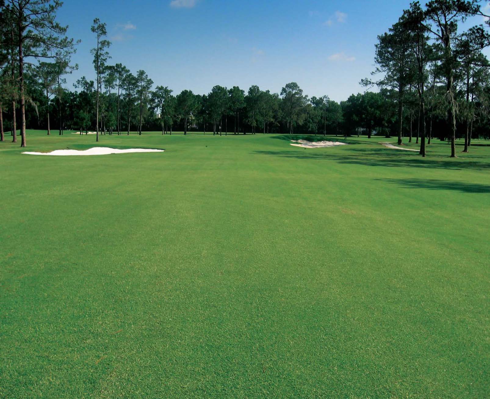 Ocala Golf Club 1