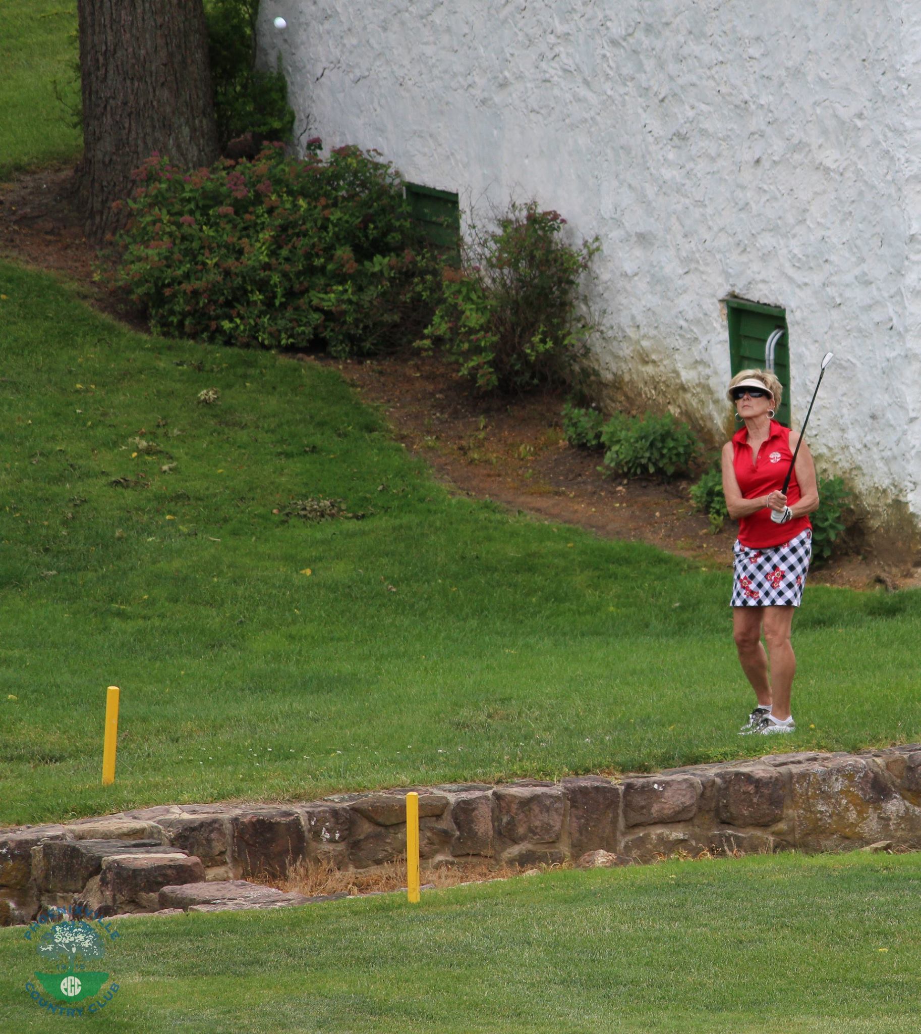 Phoenixville Country Club 4