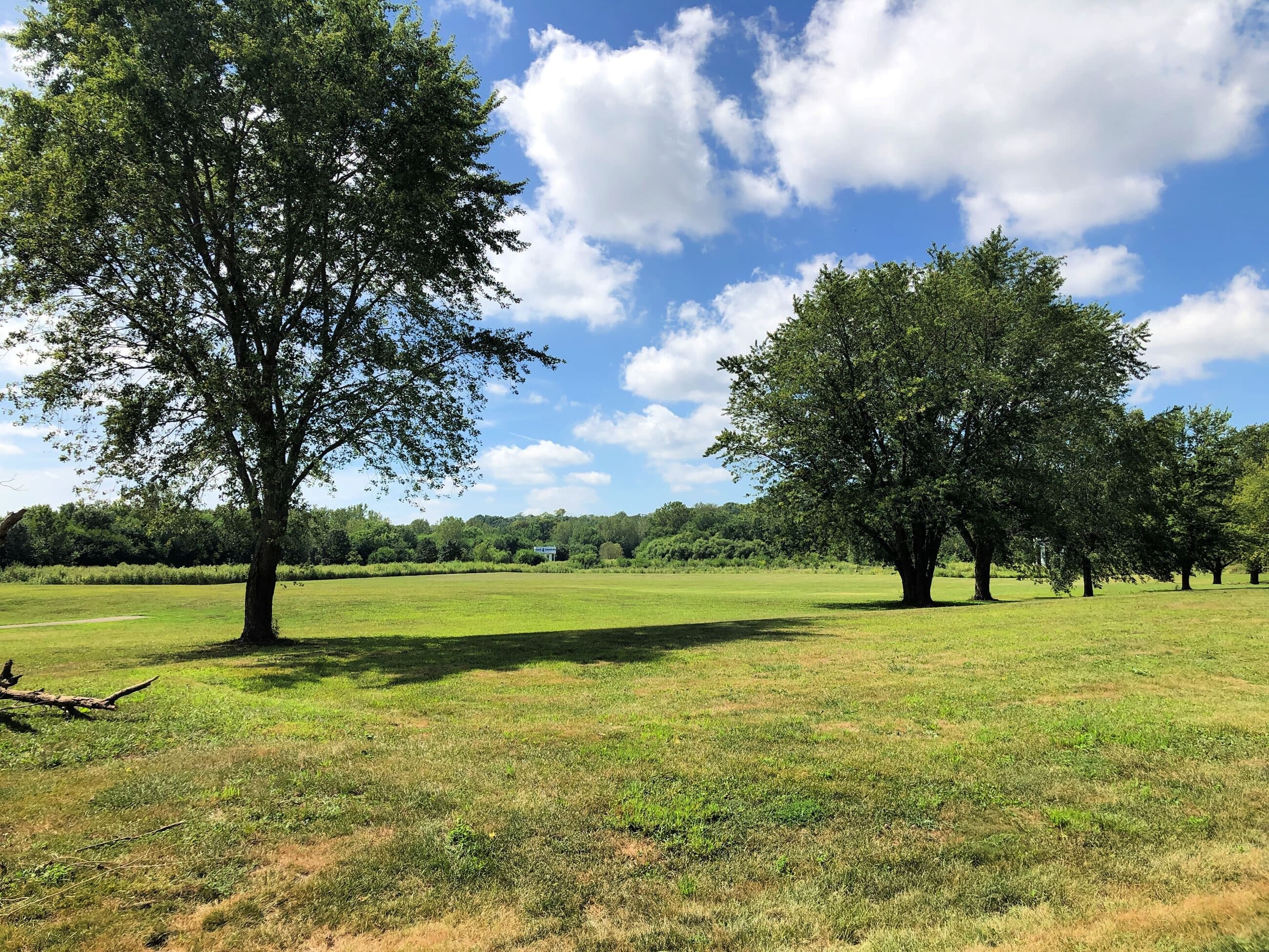 McAllister Park