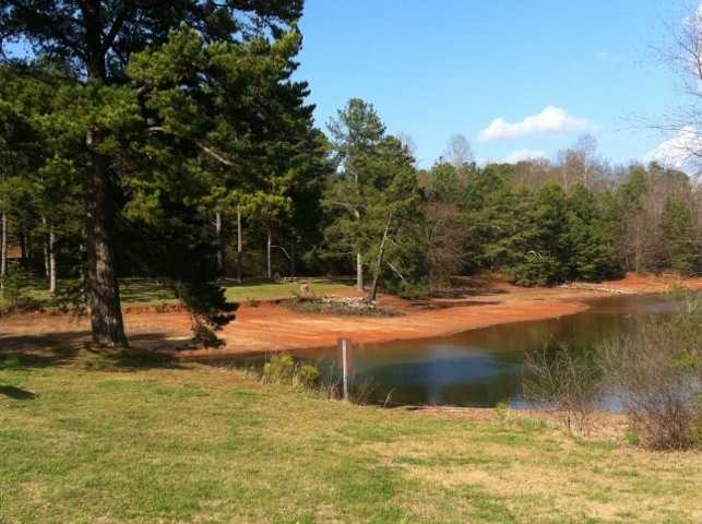 Charleston Park3
