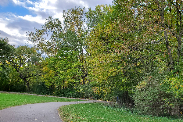 parkers woods 4