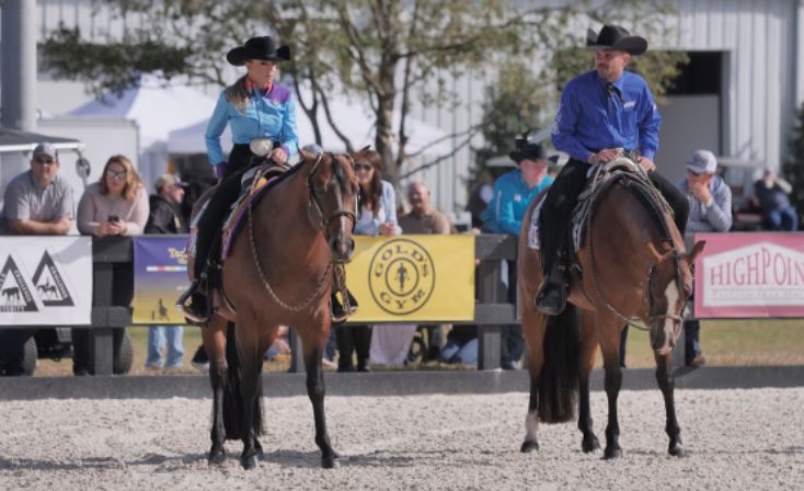 World Equestrian Center 2