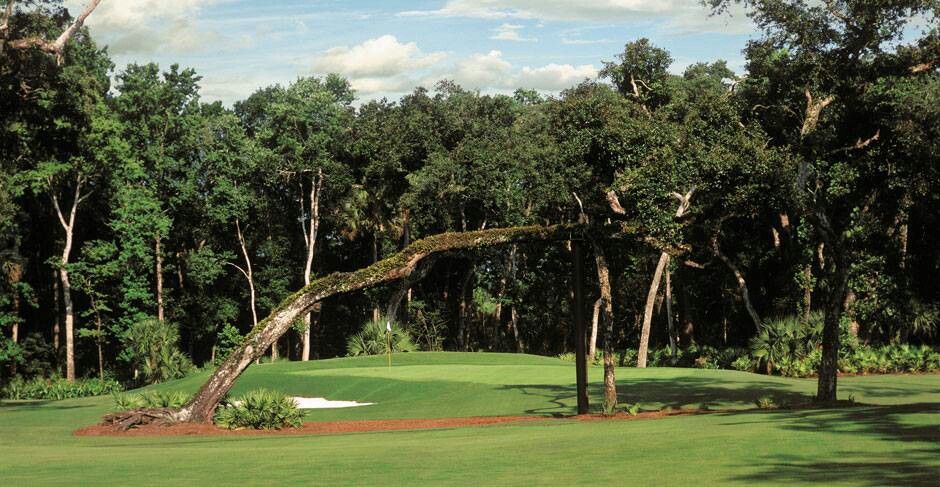 Leaning Tree Golf Course