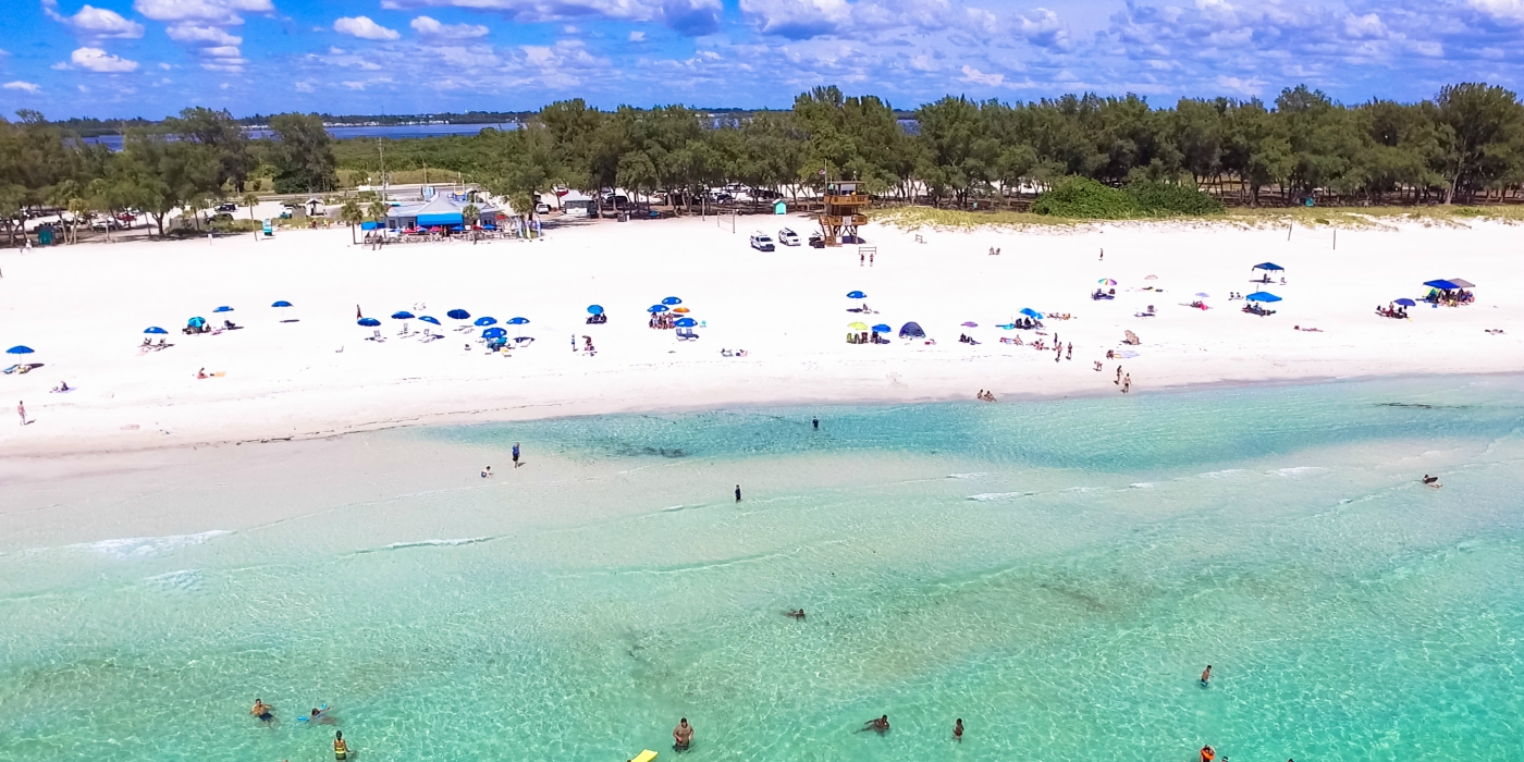 Manatee1