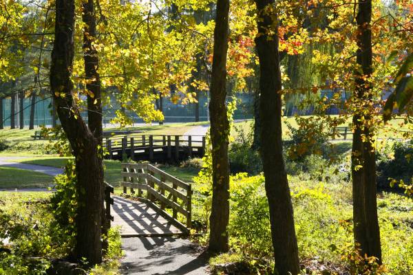 whitney pond park nassau county .jpg