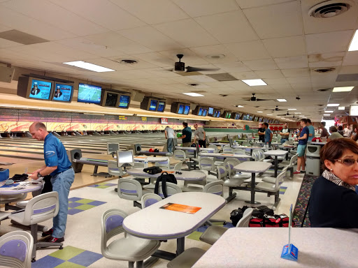 beaver-vu bowl 5