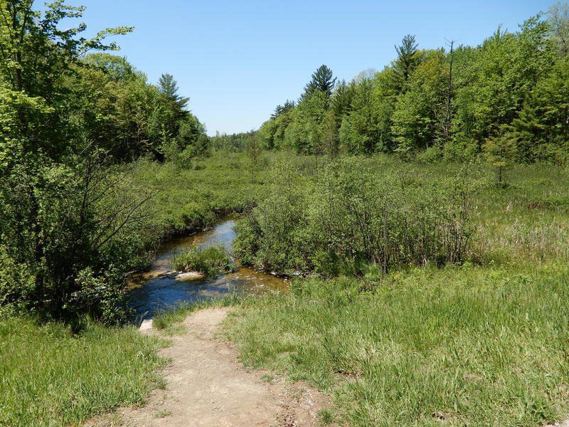 Lost Lake Pathway2