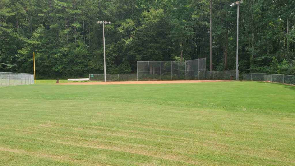 Rhyne Park