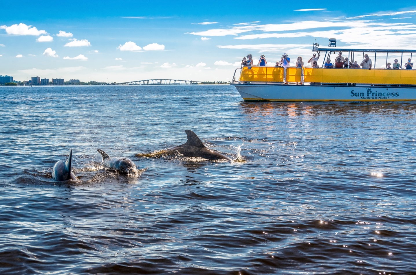 Adventures in Paradise Boat Cruises & Tours 2