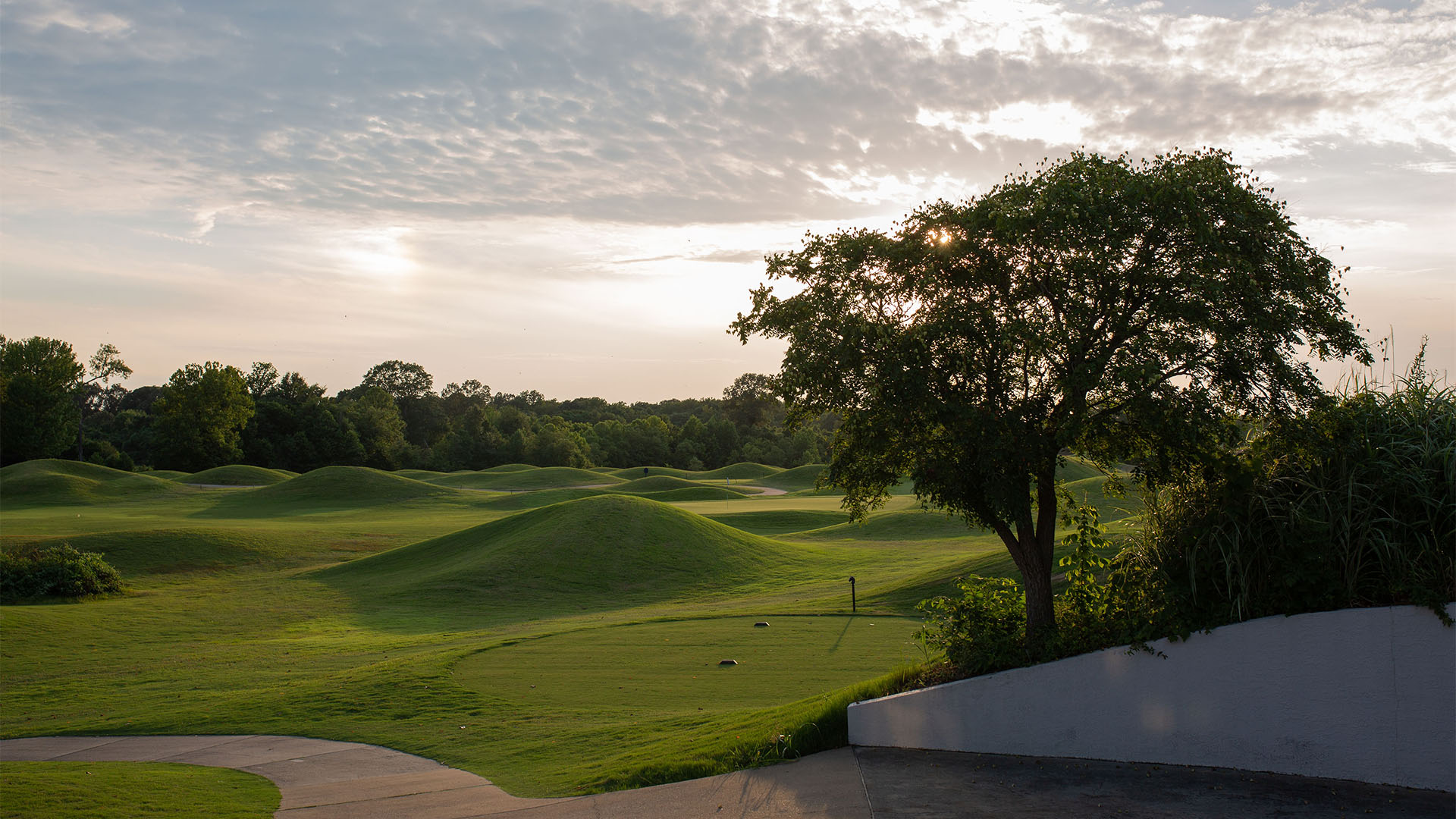 North Creek Golf Club6