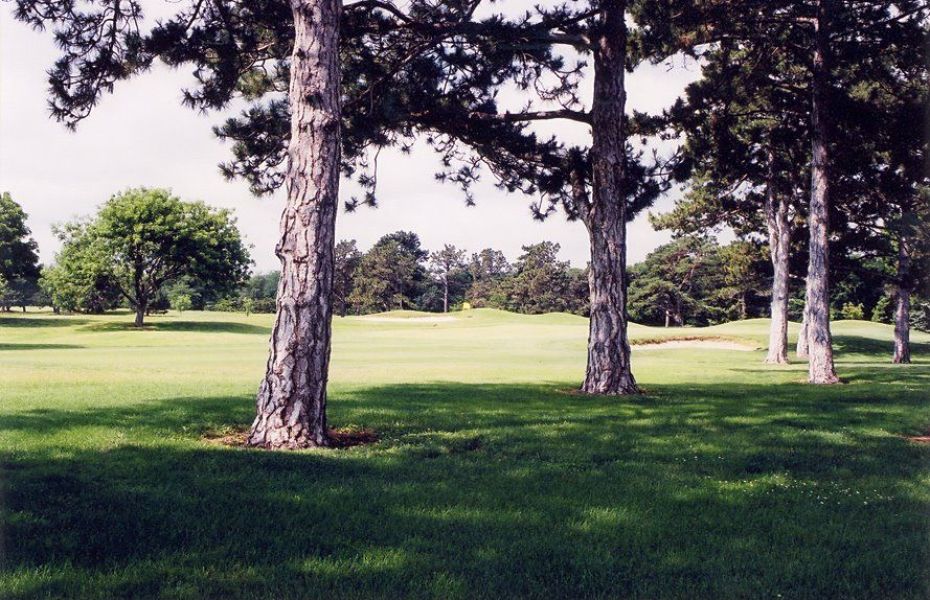 Arthur B. Sim Park Golf Course1
