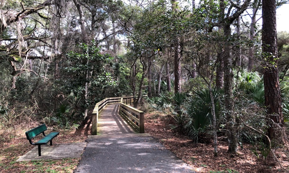 Canopy Shores Park6