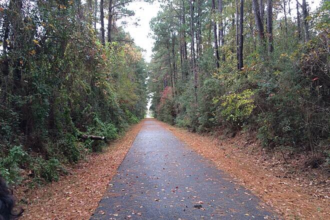 Tammany Trace