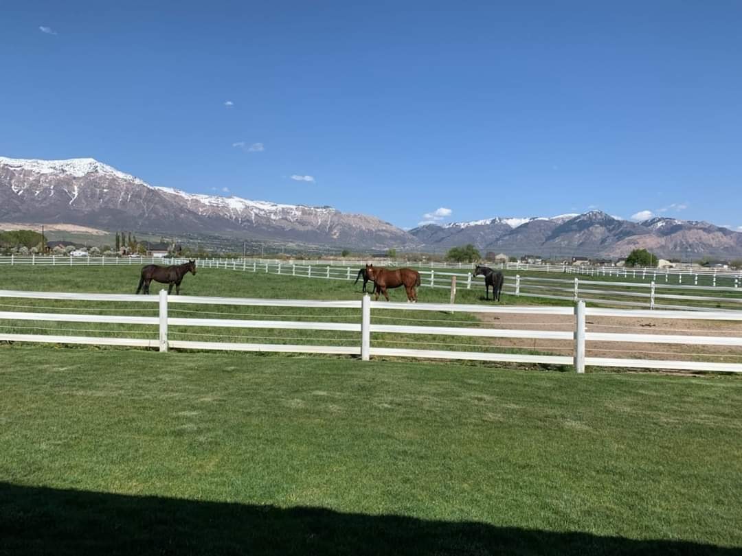 Gambler's Choice Equestrian Center3