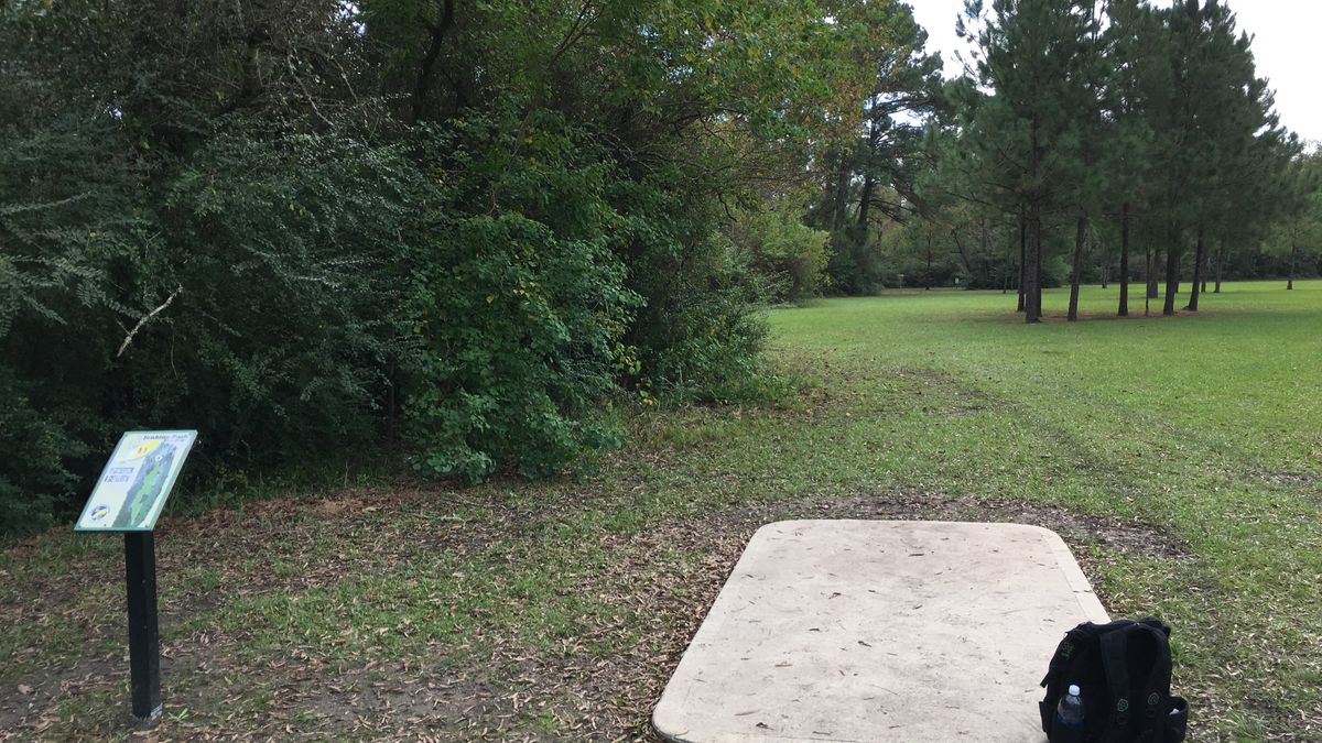 discgolf1.jpg