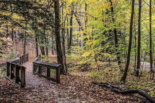 Sanctuary Woods Preserve 1