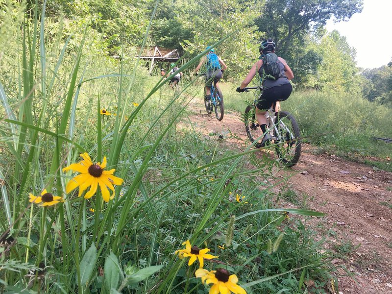 Barn Bluff 6