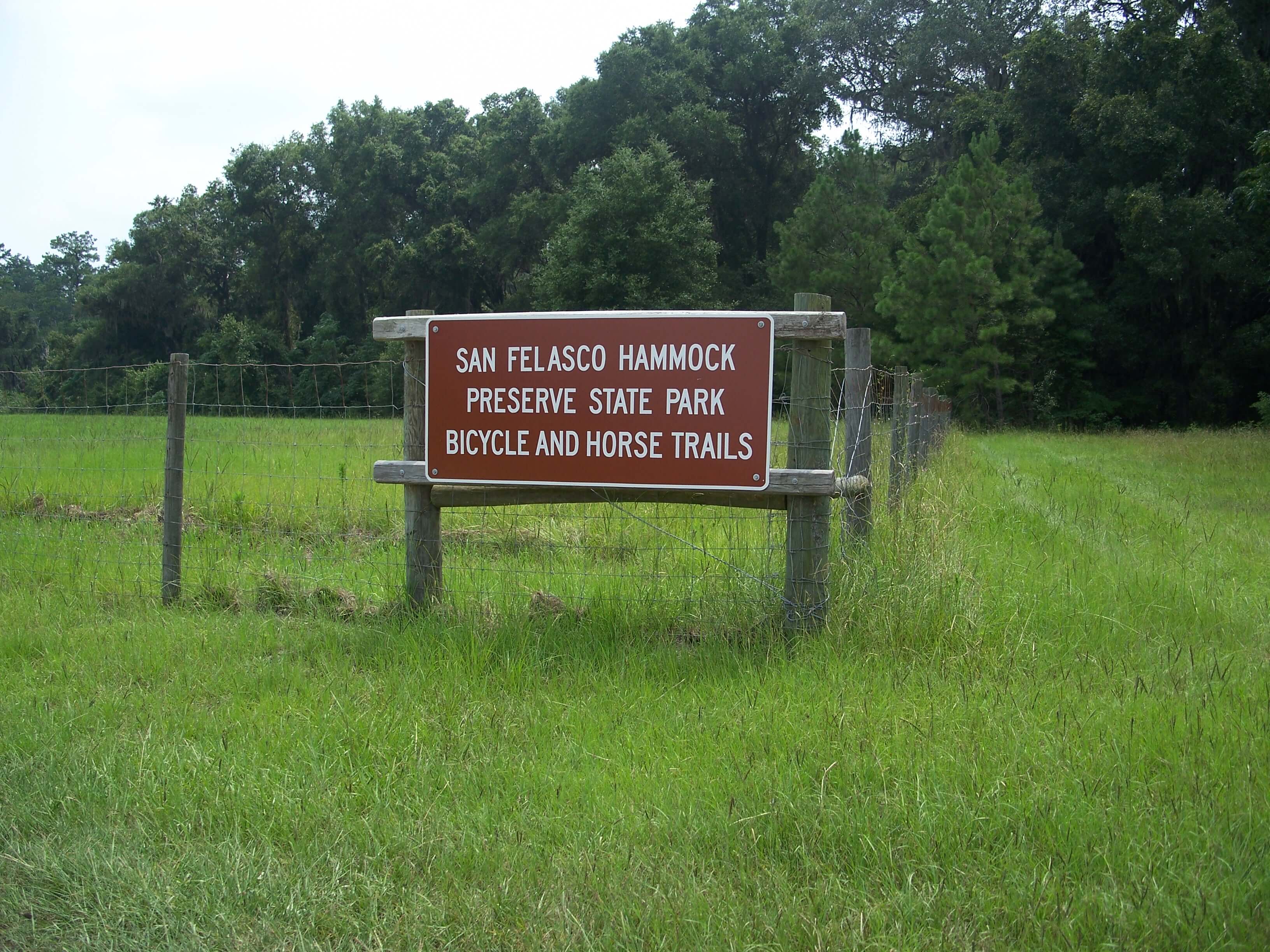 San Felasco Hammock Preserve State Park 4 (1)