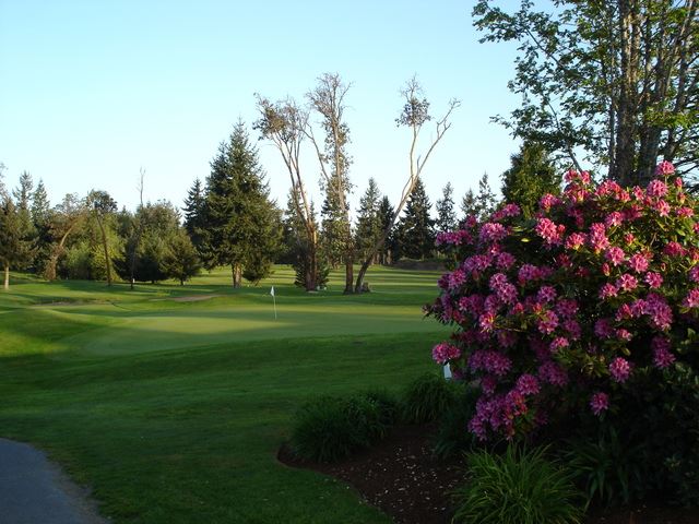 Madrona Links Golf Course5