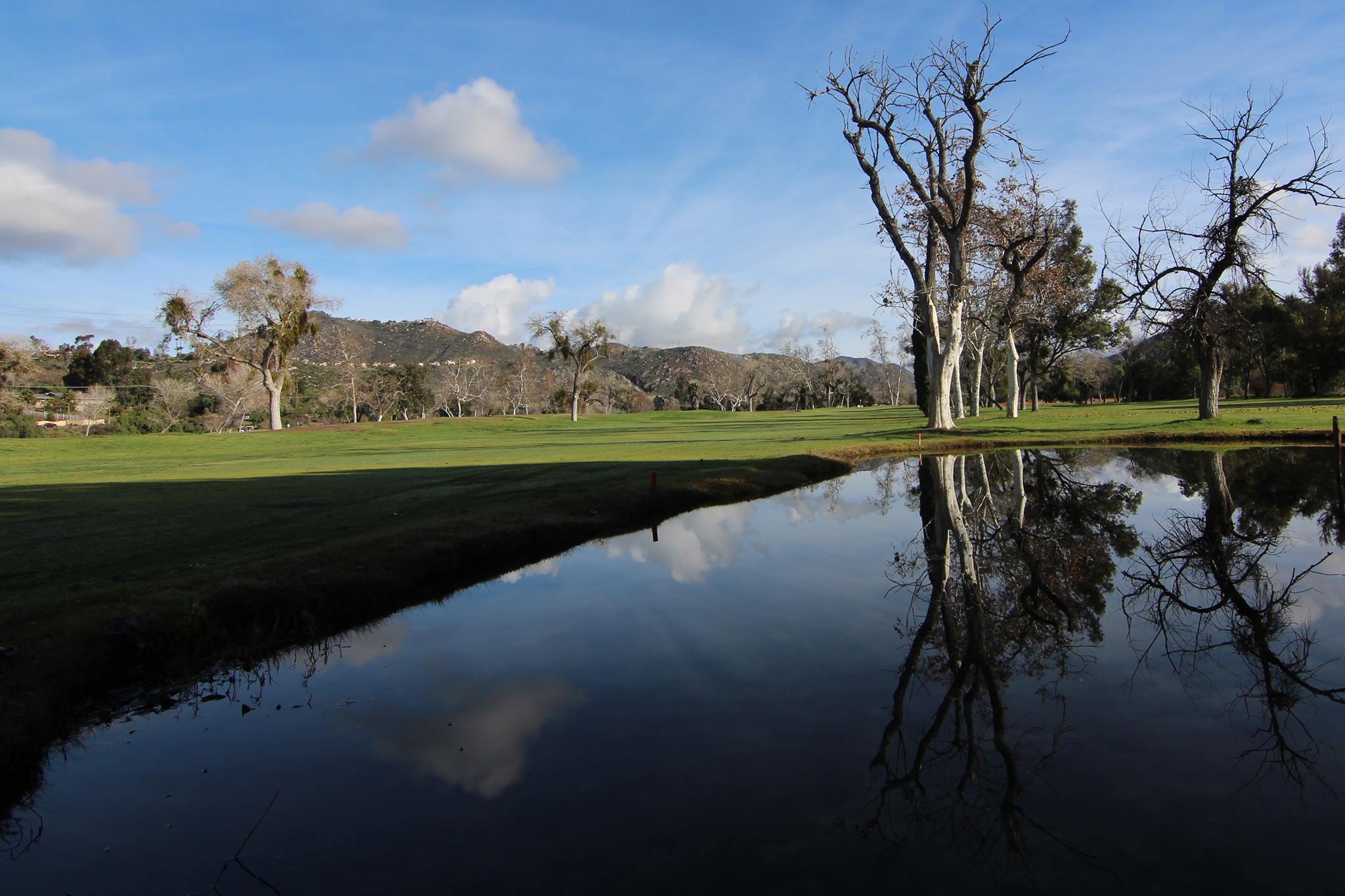Cottonwood Golf Club4