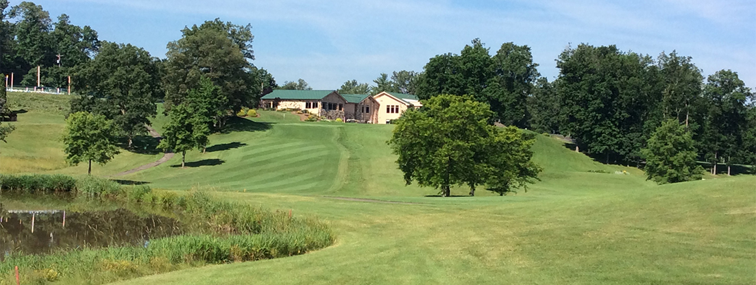 seven oaks